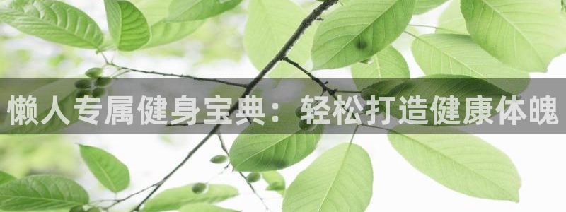 qy球友会下载